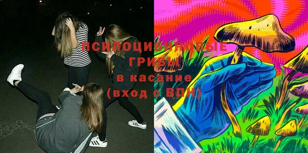 синтетический гашиш Алексин
