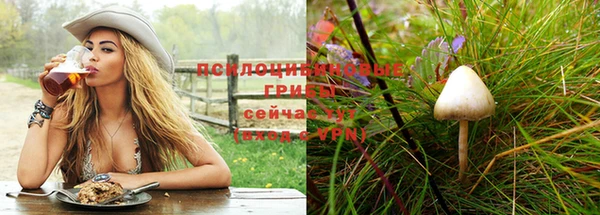 ПСИЛОЦИБИНОВЫЕ ГРИБЫ Алексеевка